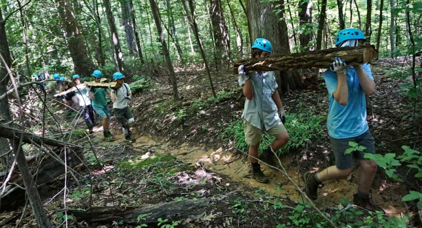 A group of students wearing gloves and helmets carry stumps along a trail in a wooded area. 